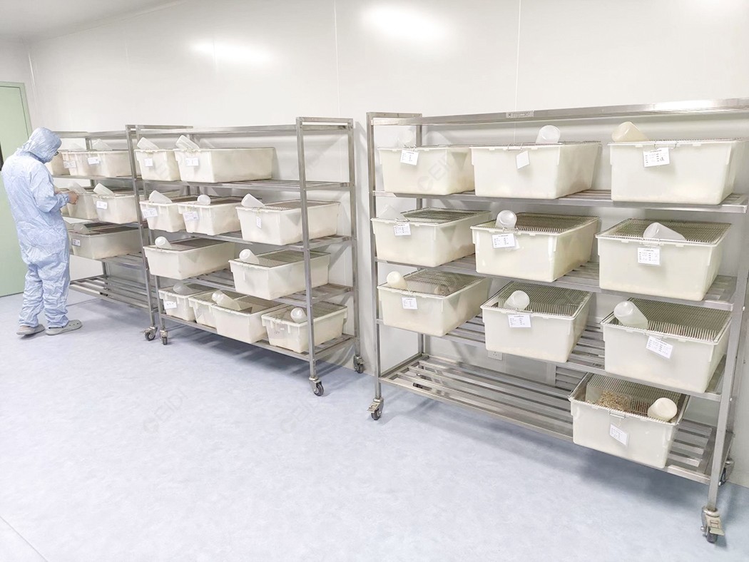 微生物實驗室建設